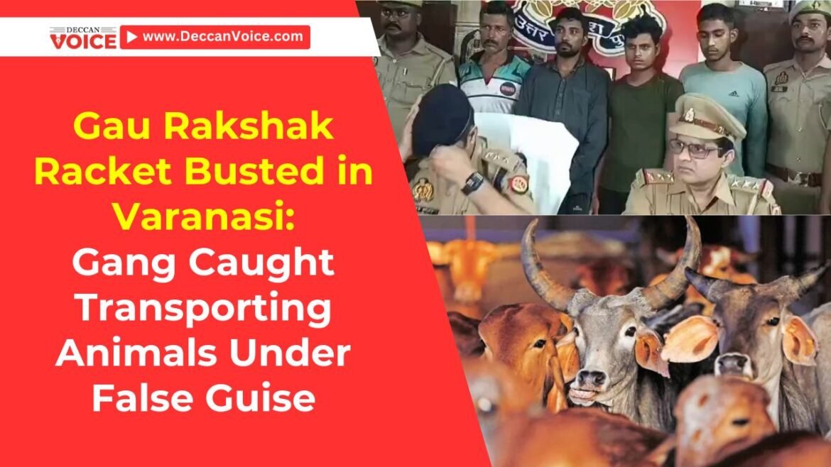 Gau Rakshaks Racket Busted in Varanasi: Gang Caught Transporting Animals Under False Guise