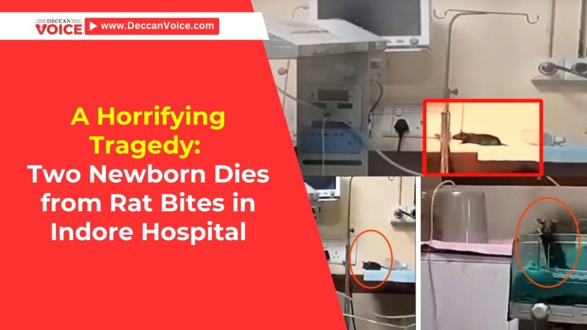 A Horrifying Tragedy: Two Newborn Dies from Rat Bites in Indore Hospital